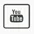 yt-icon.webp